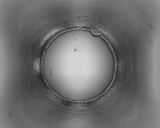X0000113761262200910141040