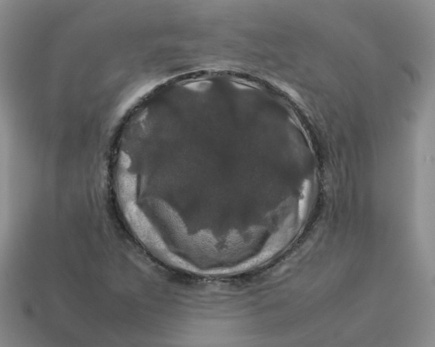 X0000113761263200910141040