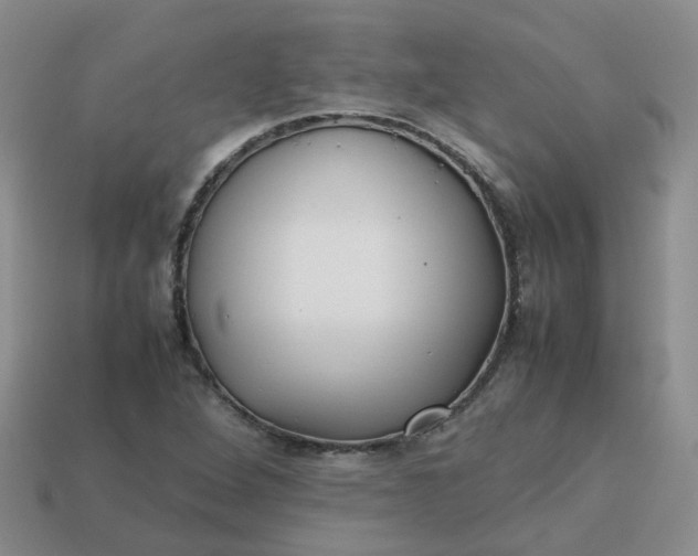 X0000113761264200910141040