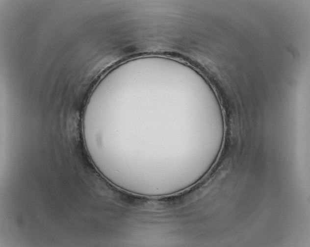 X0000113761265200910141040