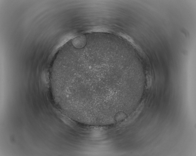 X0000113761266200910141040