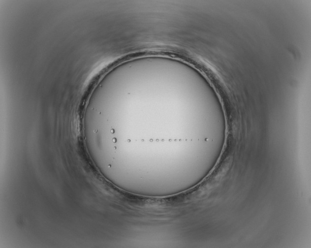 X0000113761267200910141040