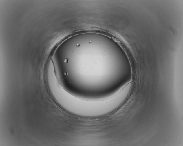 X0000113761269200910141040