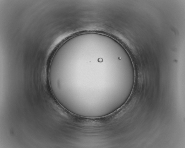 X0000113761270200910141040