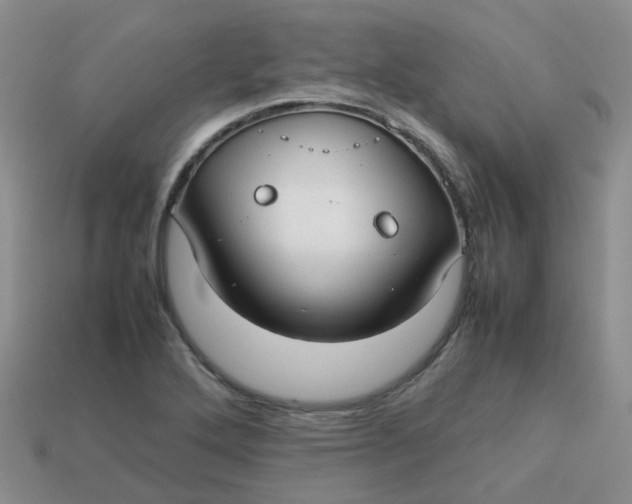 X0000113761272200910141040