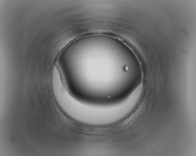 X0000113761273200910141040