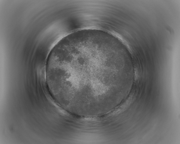 X0000113761274200910141040
