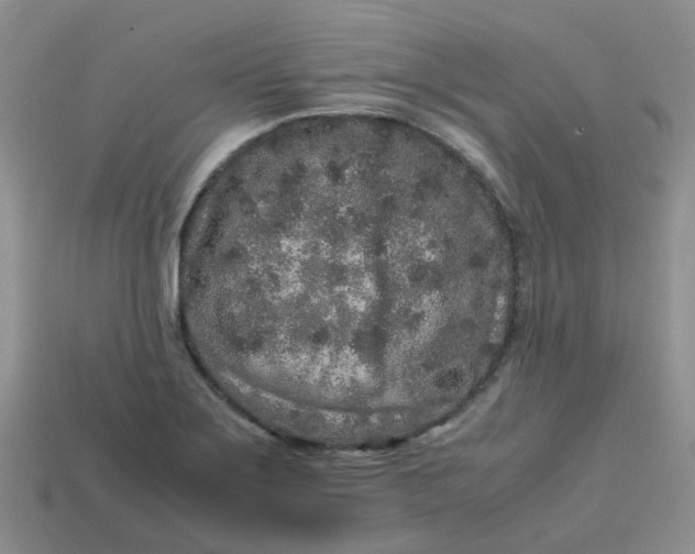 X0000113761275200910141040