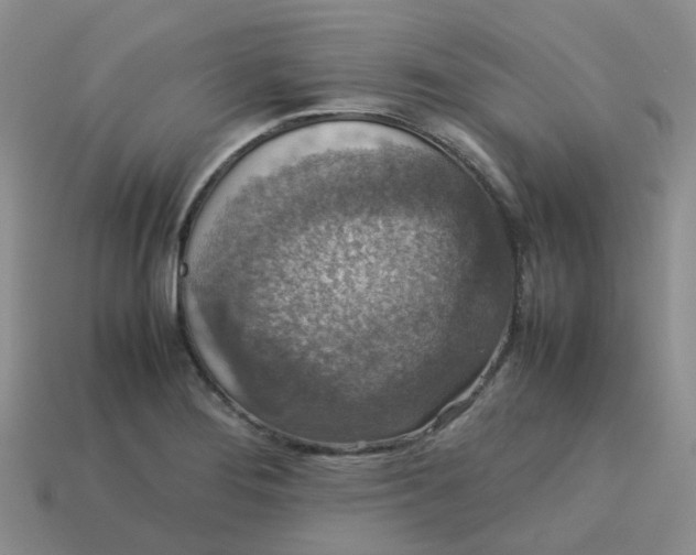 X0000113761276200910141040