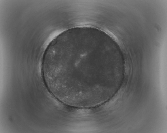 X0000113761277200910141040