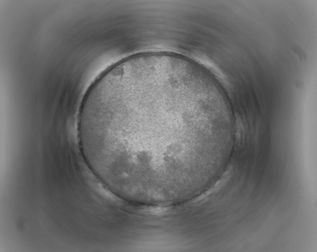 X0000113761278200910141040