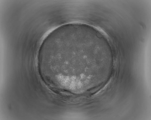 X0000113761279200910141040
