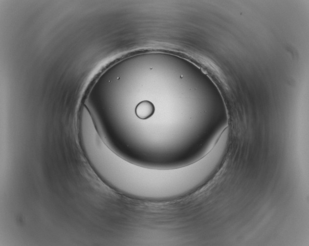 X0000113761280200910141040