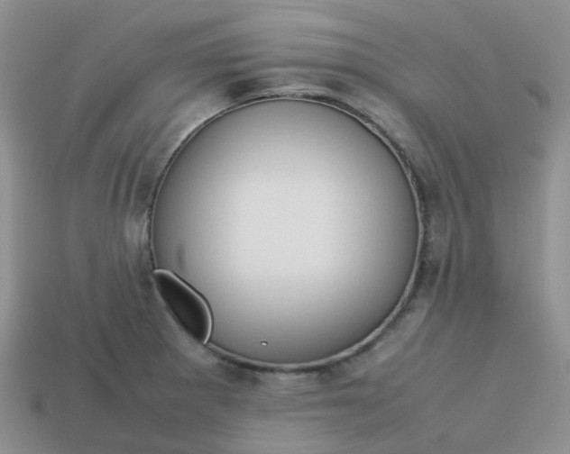 X0000113761281200910141040