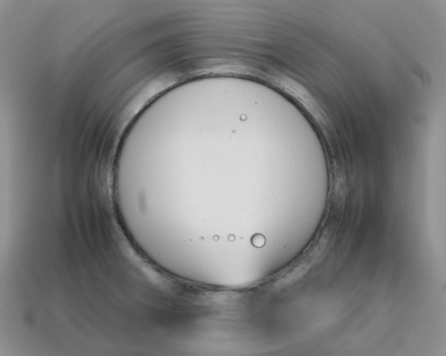 X0000113761282200910141040
