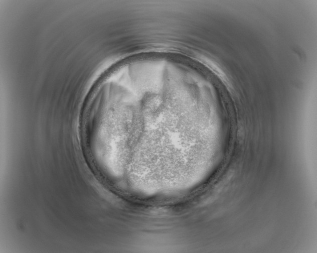 X0000113761283200910141040
