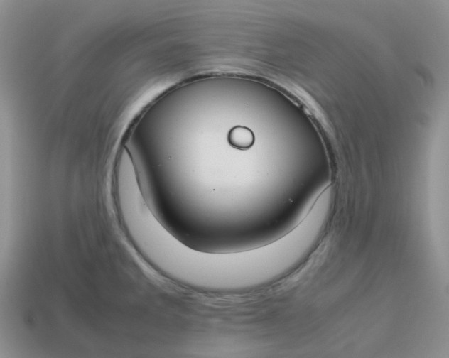 X0000113761285200910141040
