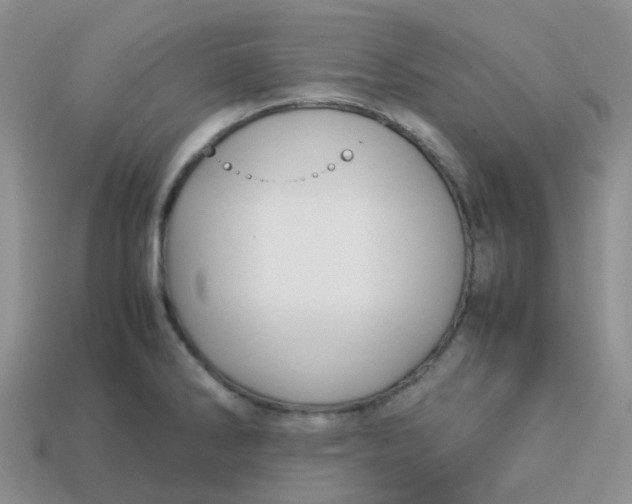 X0000113761286200910141040