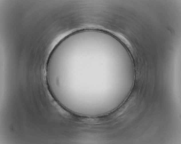 X0000113761287200910141040