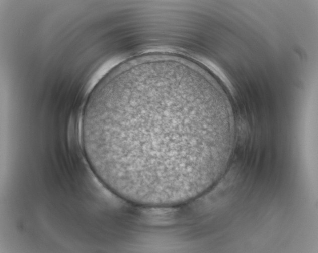 X0000113761290200910141040