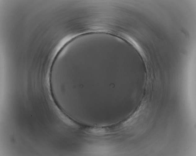 X0000113761291200910141040