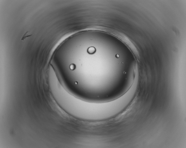 X0000113761292200910141040