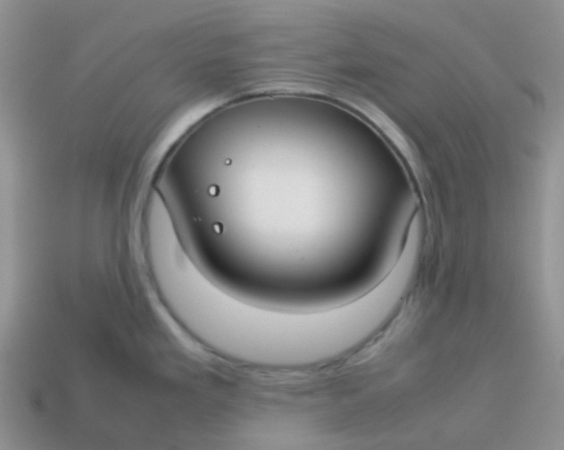 X0000113761293200910141040