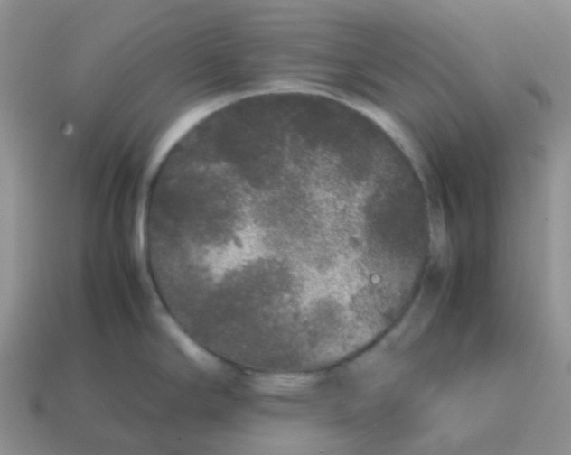 X0000113761294200910141040