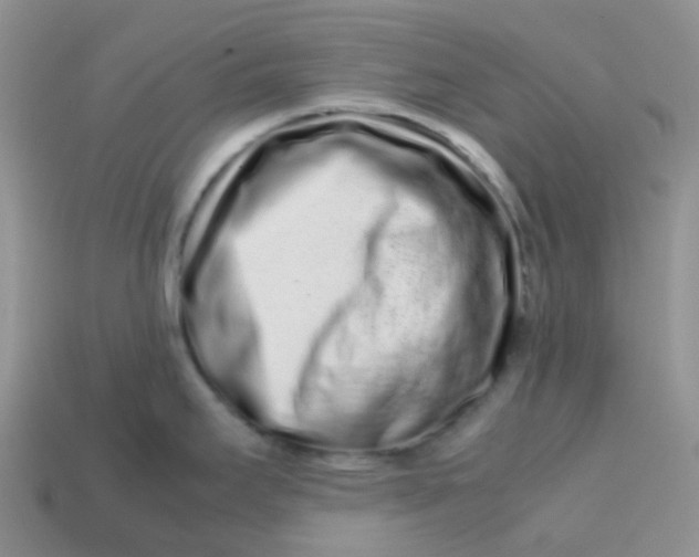 X0000113761295200910141040