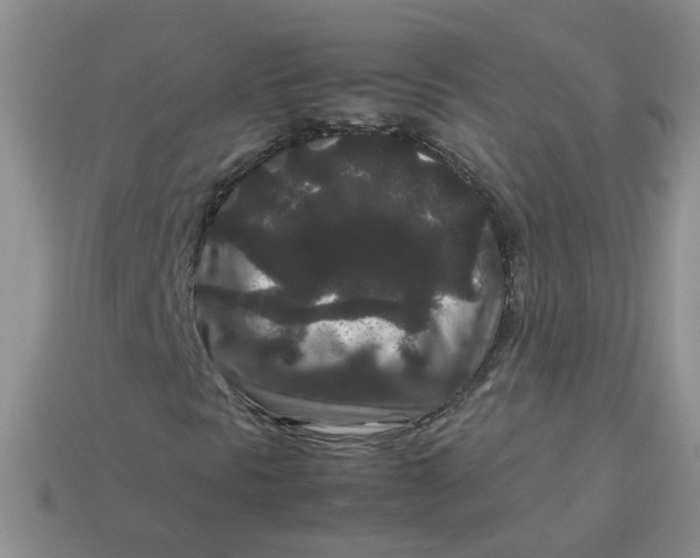 X0000113761297200910141039