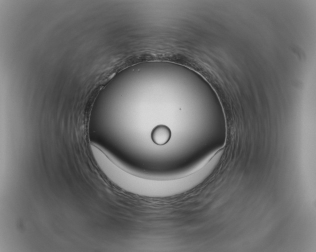 X0000113761298200910141039