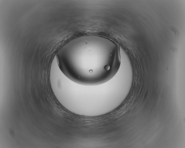 X0000113761300200910141039