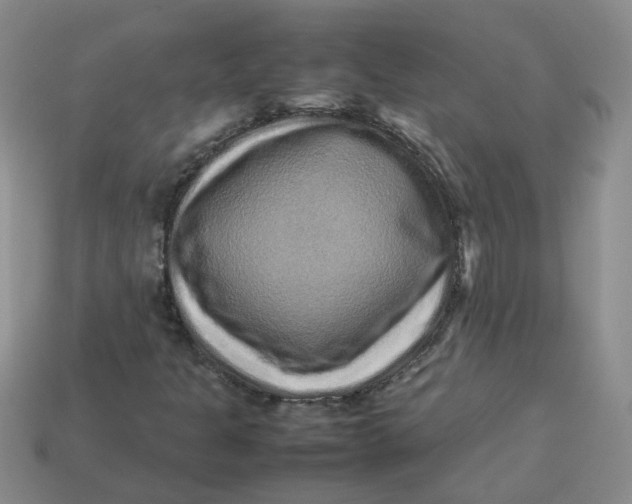 X0000113761301200910141039