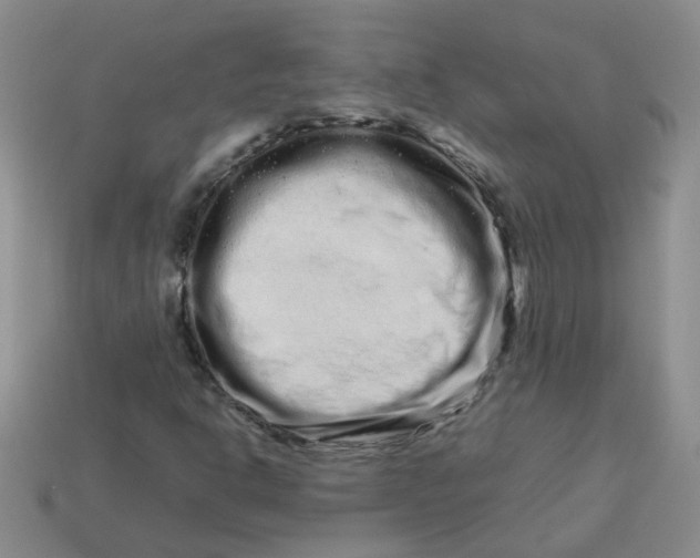 X0000113761302200910141039