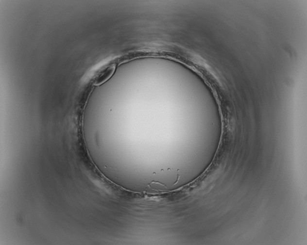 X0000113761304200910141039