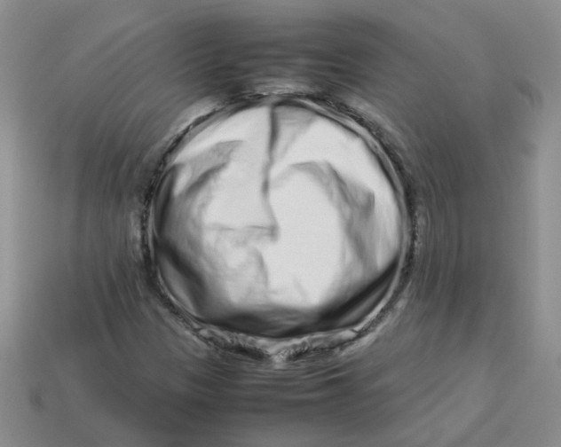 X0000113761305200910141039