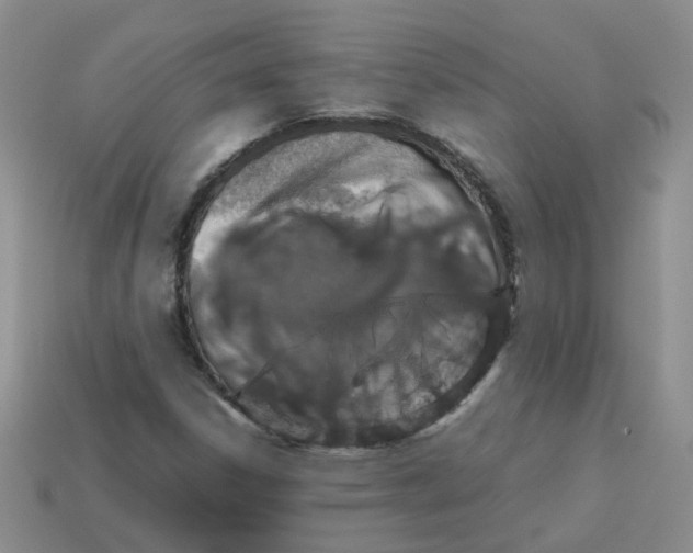 X0000113761306200910141039