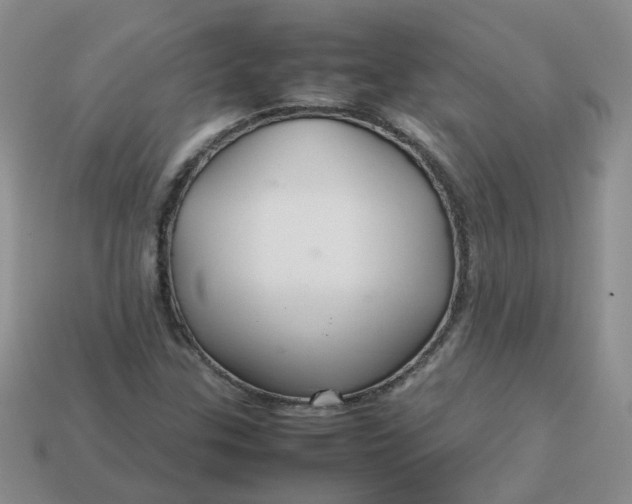 X0000113761307200910141039