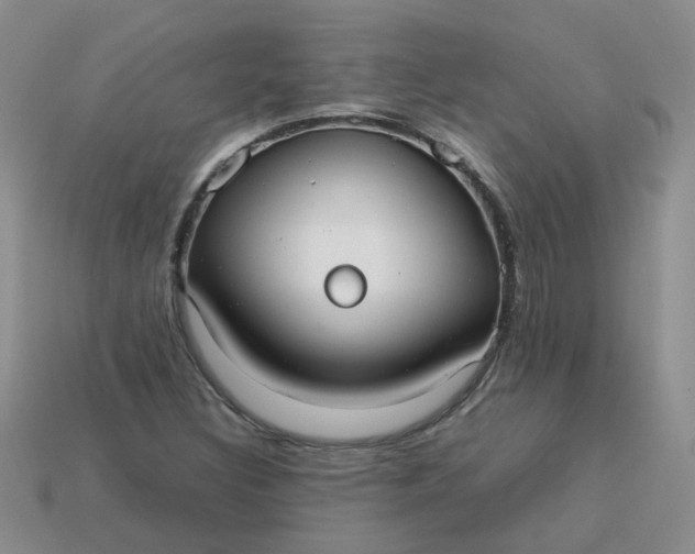 X0000113761308200910141039