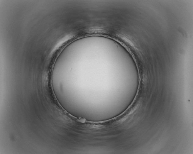 X0000113761309200910141039
