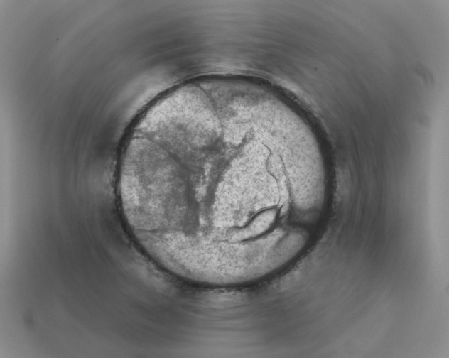 X0000113761314200910141039