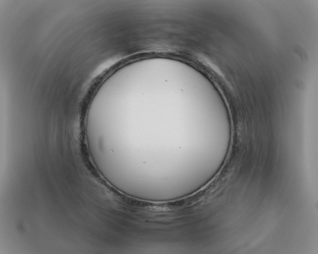 X0000113761315200910141039