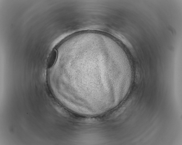 X0000113761316200910141039