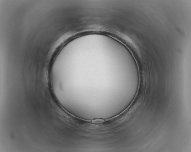 X0000113761318200910141039