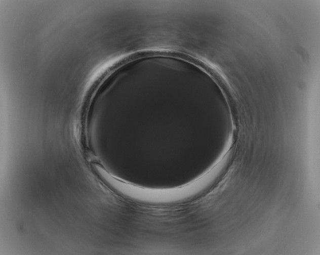 X0000113761319200910141039