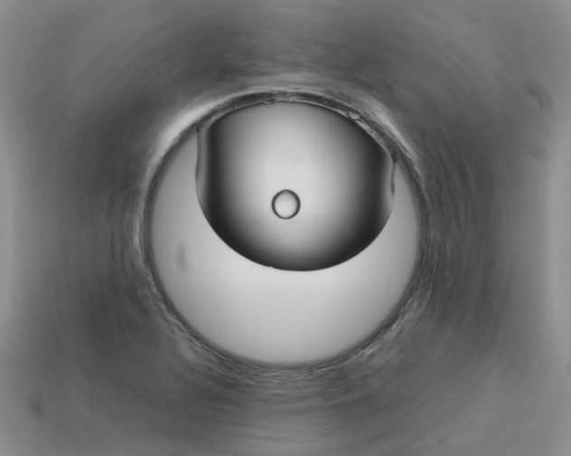 X0000113761320200910141039