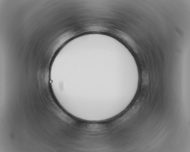 X0000113761322200910141039