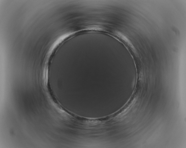 X0000113761323200910141039
