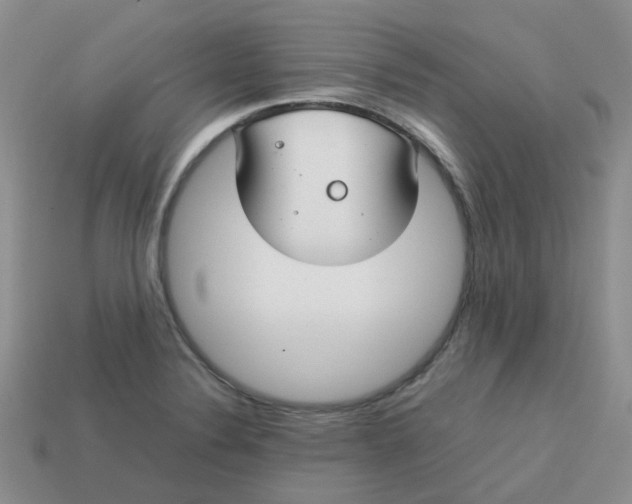 X0000113761324200910141039