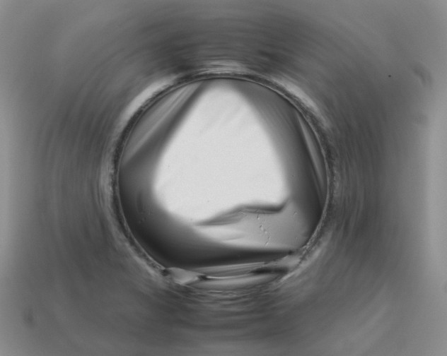X0000113761325200910141040